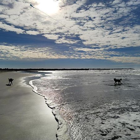 Clam A Lot Βίλα Ocean Shores Εξωτερικό φωτογραφία