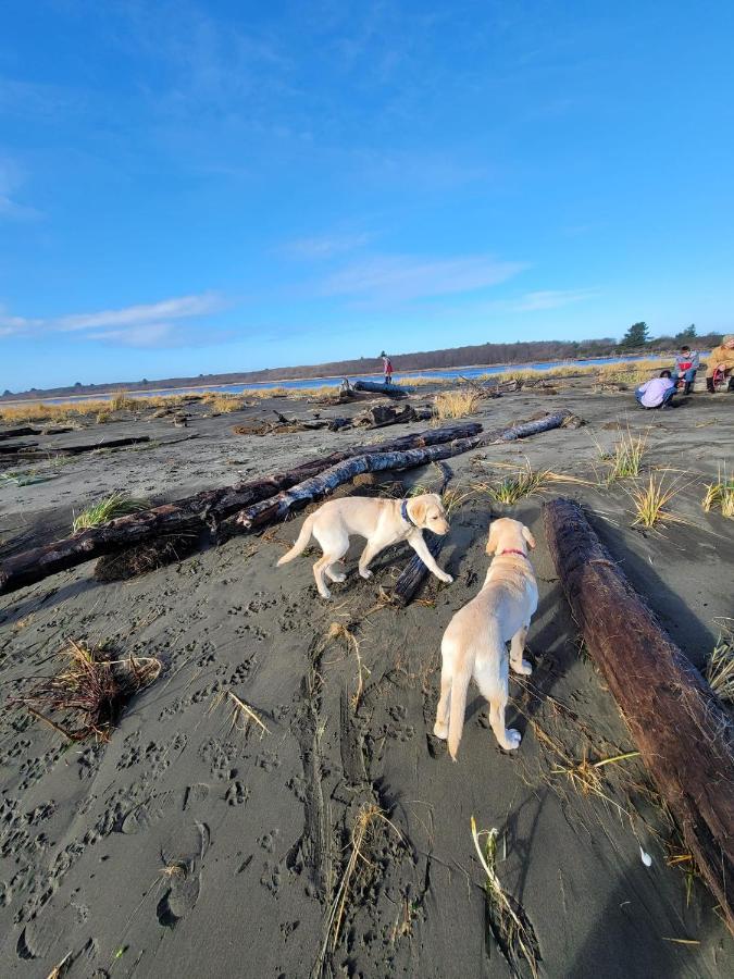 Clam A Lot Βίλα Ocean Shores Εξωτερικό φωτογραφία